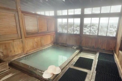 玉子湯メディア掲載情報 画像4