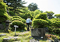 温泉神社への散歩道